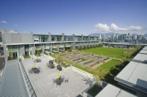 Sitting on the roof of the Rise are 92 live/work residences arranged around a courtyard with 18 garden boxes that allow residents to grow their own produce and flowers. (Larry Goldstein)